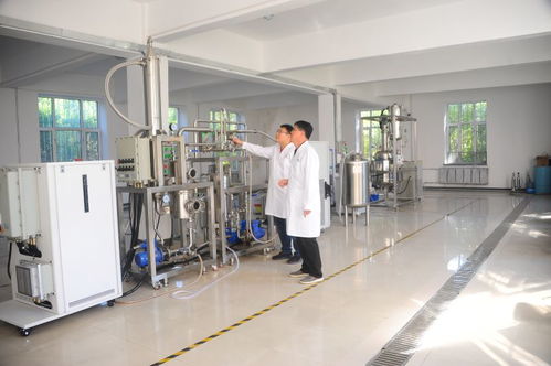 齊齊哈爾大學(xué)牽頭組建的 國家市場(chǎng)監(jiān)管技術(shù)創(chuàng)新中心 工業(yè)大麻 成功獲批建設(shè)